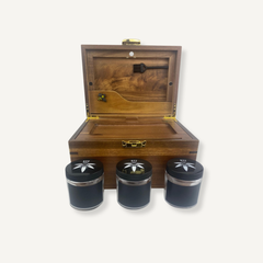 Summer Fun Bzz Box Bundle - Lockable Smell-Proof Stash Box