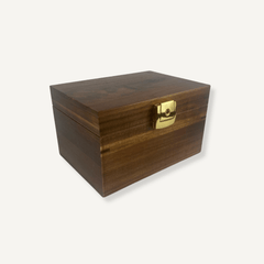 Summer Fun Bzz Box Bundle - Lockable Smell-Proof Stash Box - Bzz Box