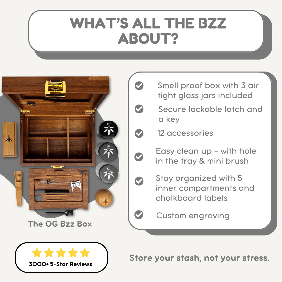 Summer Fun Bzz Box Bundle - Lockable Smell-Proof Stash Box - Bzz Box