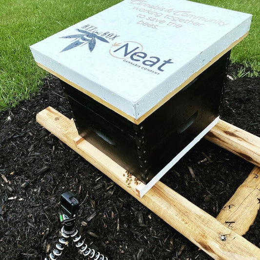 Beehive Donation