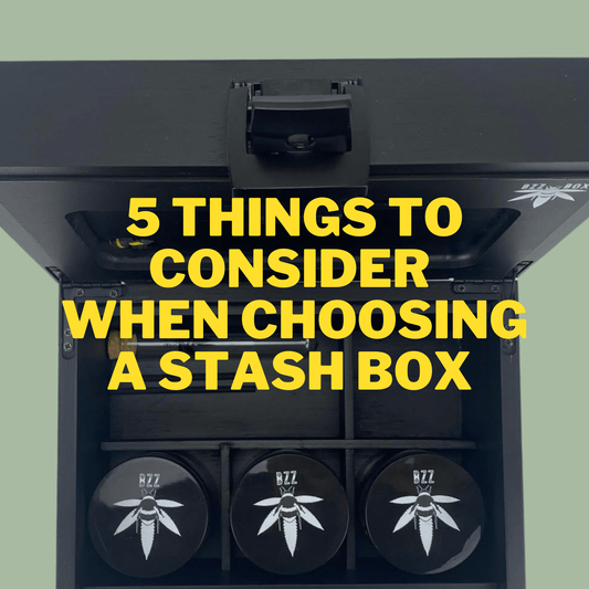 Top 5 things to consider when choosing a stash box - Bzz Box