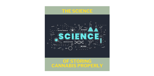 The Science of Storing Cannabis Properly - Bzz Box