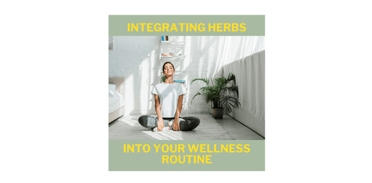 Integrating Herbs into Your Wellness Routine - Bzz Box