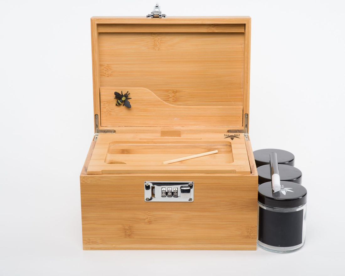 Large Bzz Box