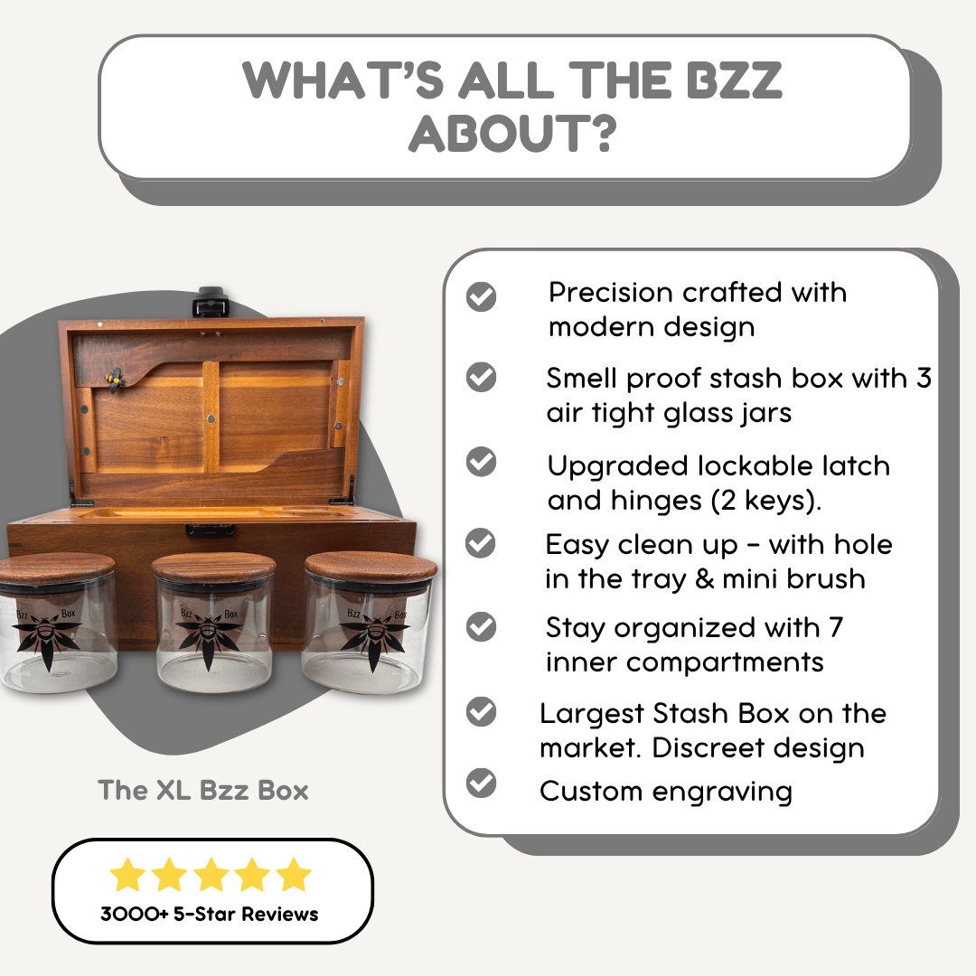 XL Dark Wood BzzBox - Crafted with Precision, Smell-Proof, Lockable, and Discreet Treasure Chest - Bzz Box