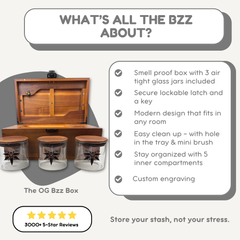 XL Dark Wood Bzz Box (Treasure Chest)