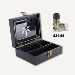 Small Bzz Box Gift Pack - Perfect for On-The-Go - Bzz Box