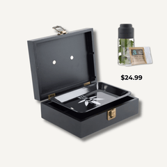 Small Bzz Box Gift Pack - Perfect for On-The-Go - Bzz Box