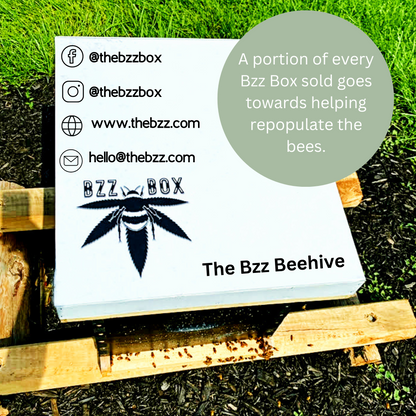The OG Black Bzz Box (Large Stash Box)