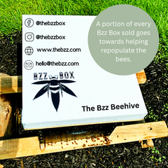 OG Black Bzz Box (Stash Box)