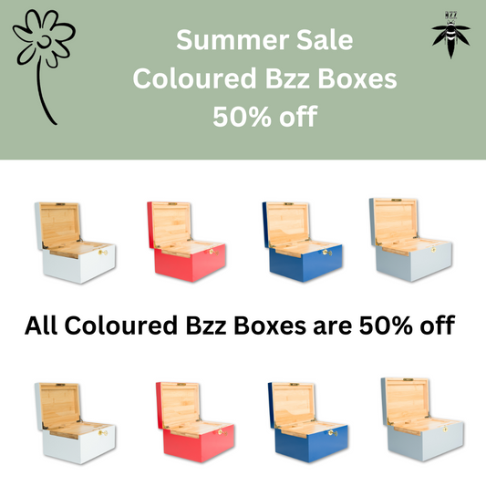 Large Coloured Bzz Box