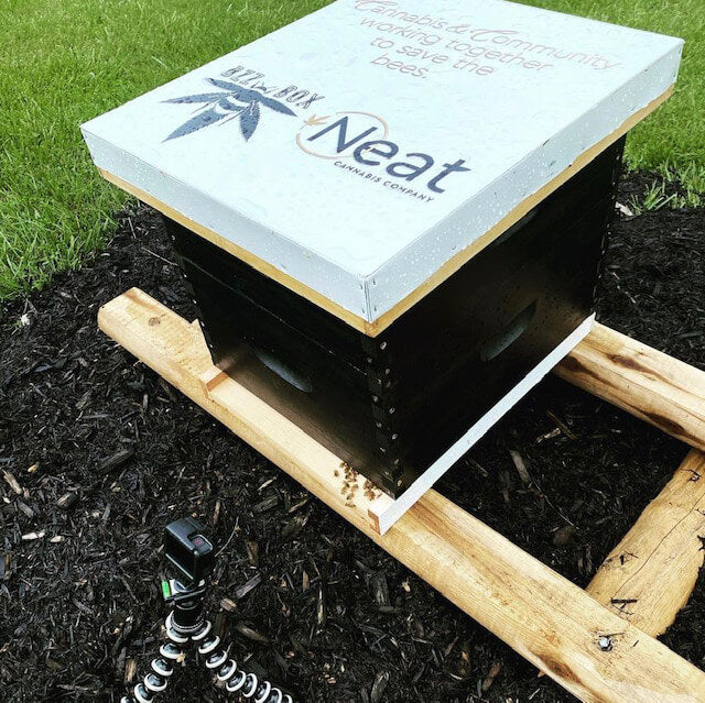 Beehive Donation